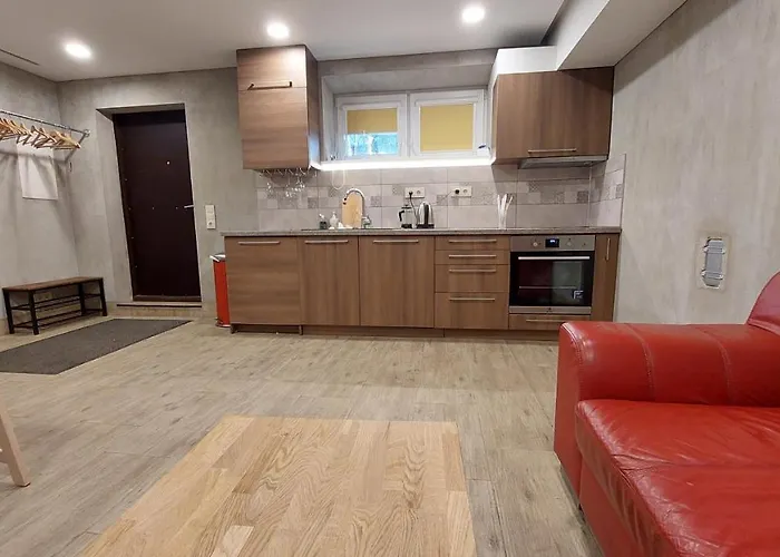 Fun And Chill Patalpu Ir Pirties Nuoma Apartment *